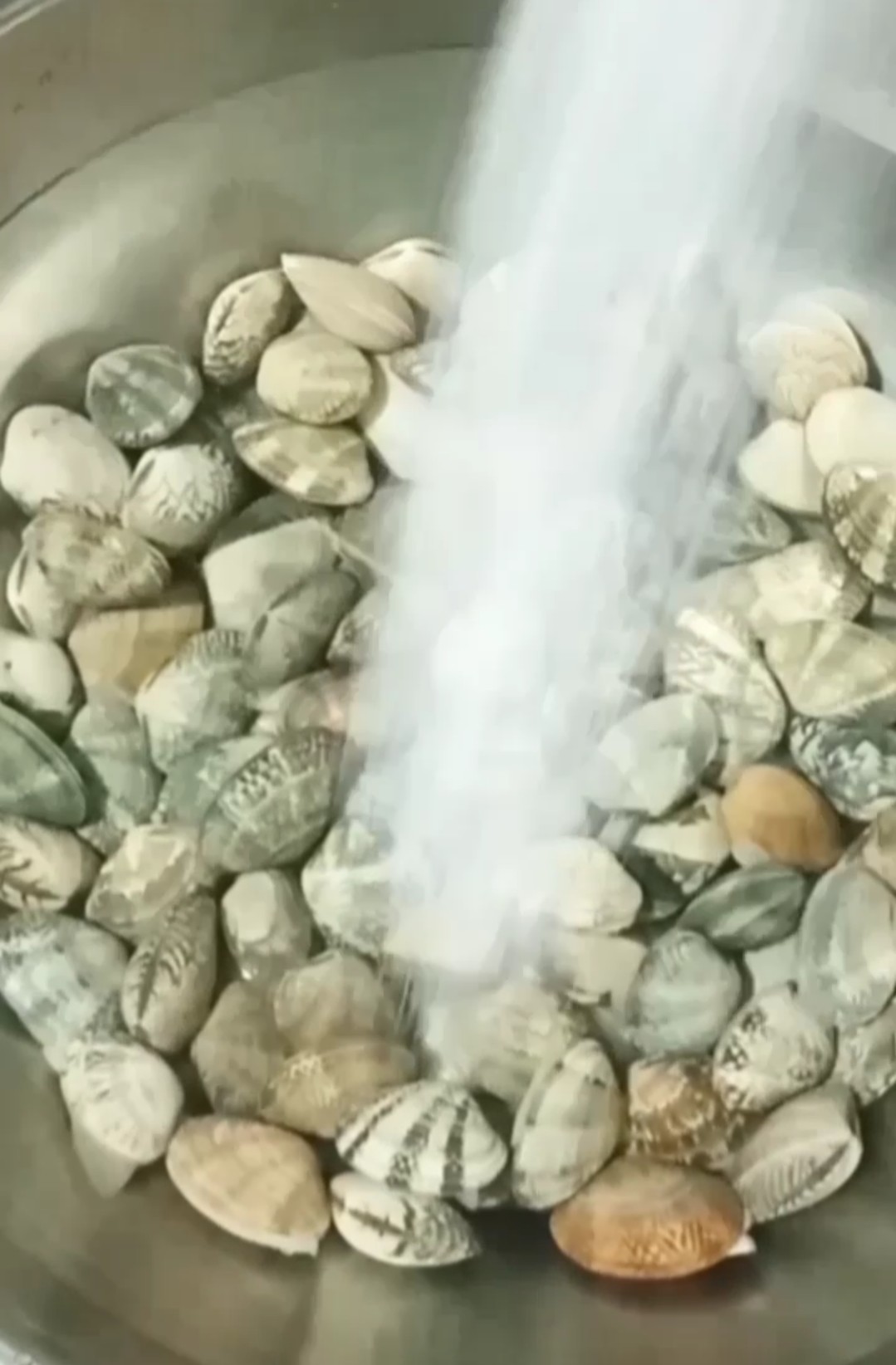 豆瓣醬炒花甲的做法-家常味炒菜譜