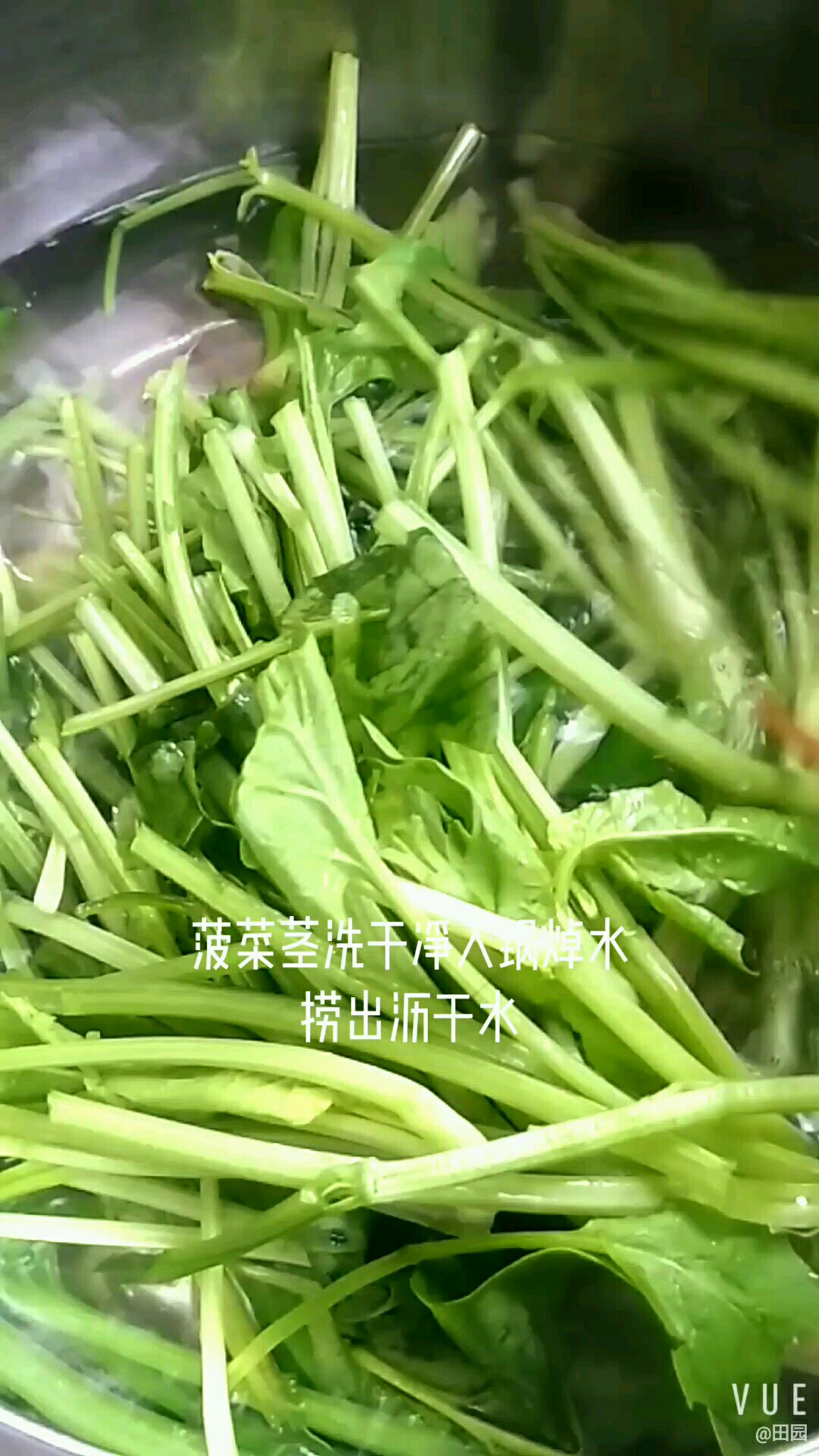 香甜健康菠菜莖的做法-甜味拌菜譜