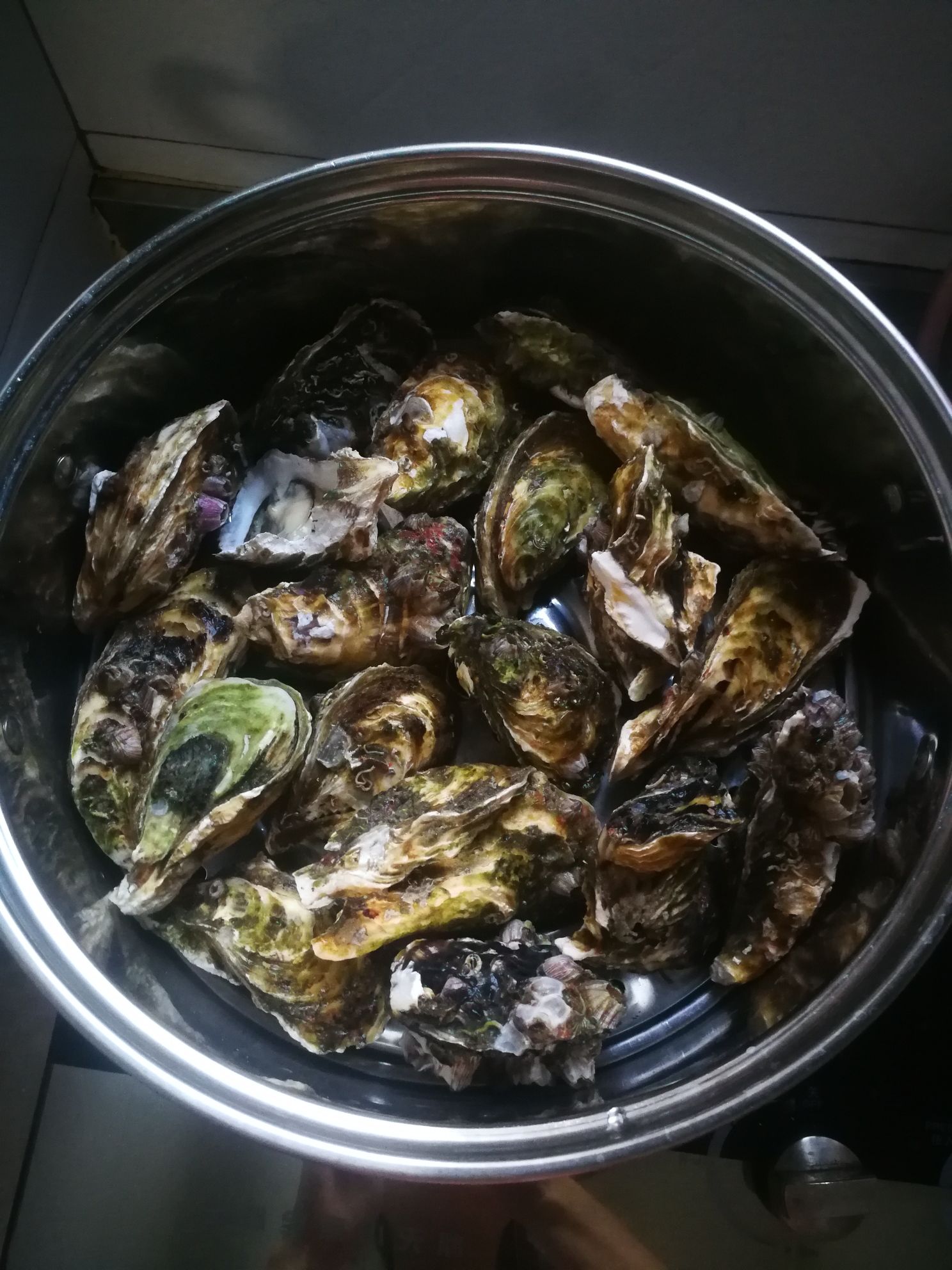 蒜蓉生蠔的做法-咸鮮味蒸菜譜