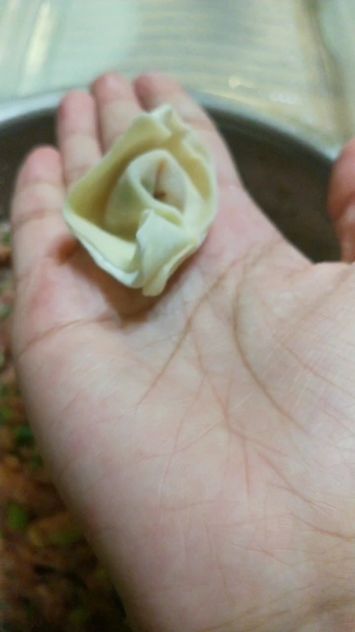 簡單好吃的肉餡的做法-咸鮮味其它工藝菜譜