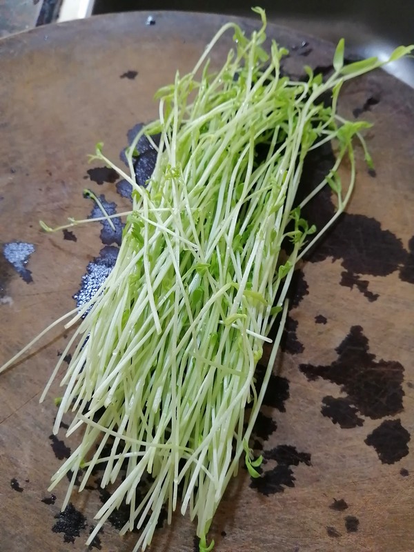 簡(jiǎn)簡(jiǎn)單單也不失美味~~松柳苗炒雞蛋的做法-家常味炒菜譜