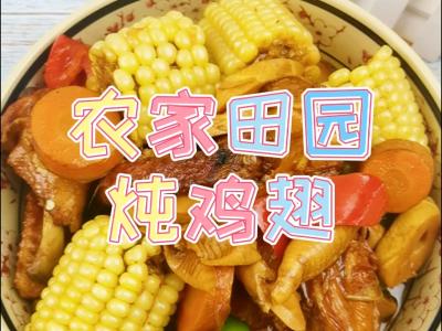 農(nóng)家院田園燉雞翅的做法-家常味燉菜譜