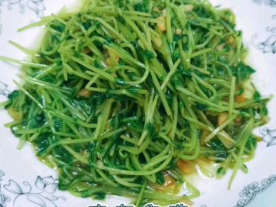 蒜蓉豆苗的做法-家常味炒菜譜