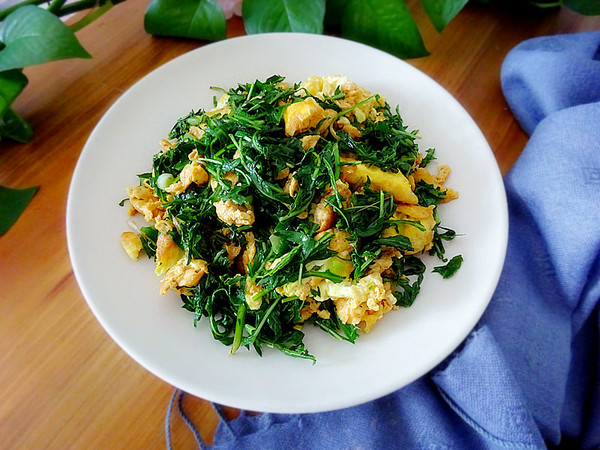 婆婆丁炒雞蛋的做法-咸鮮味炒菜譜