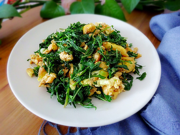 婆婆丁炒雞蛋的做法-咸鮮味炒菜譜