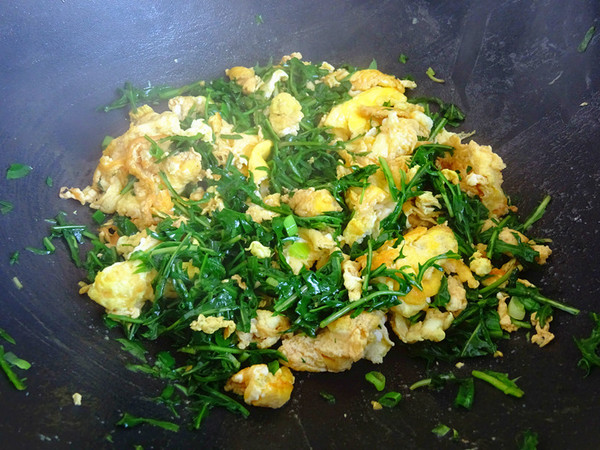 婆婆丁炒雞蛋的做法-咸鮮味炒菜譜