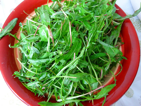 野菜炒雞蛋的做法-咸鮮味炒菜譜