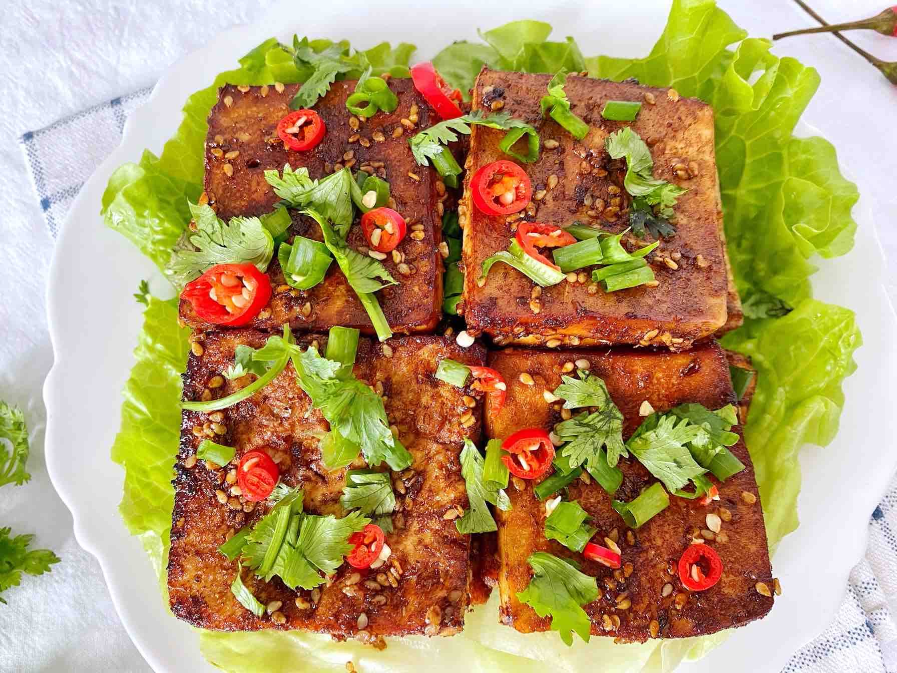 2塊錢的豆腐這么做，比肉還下飯的做法-醬香味烤菜譜