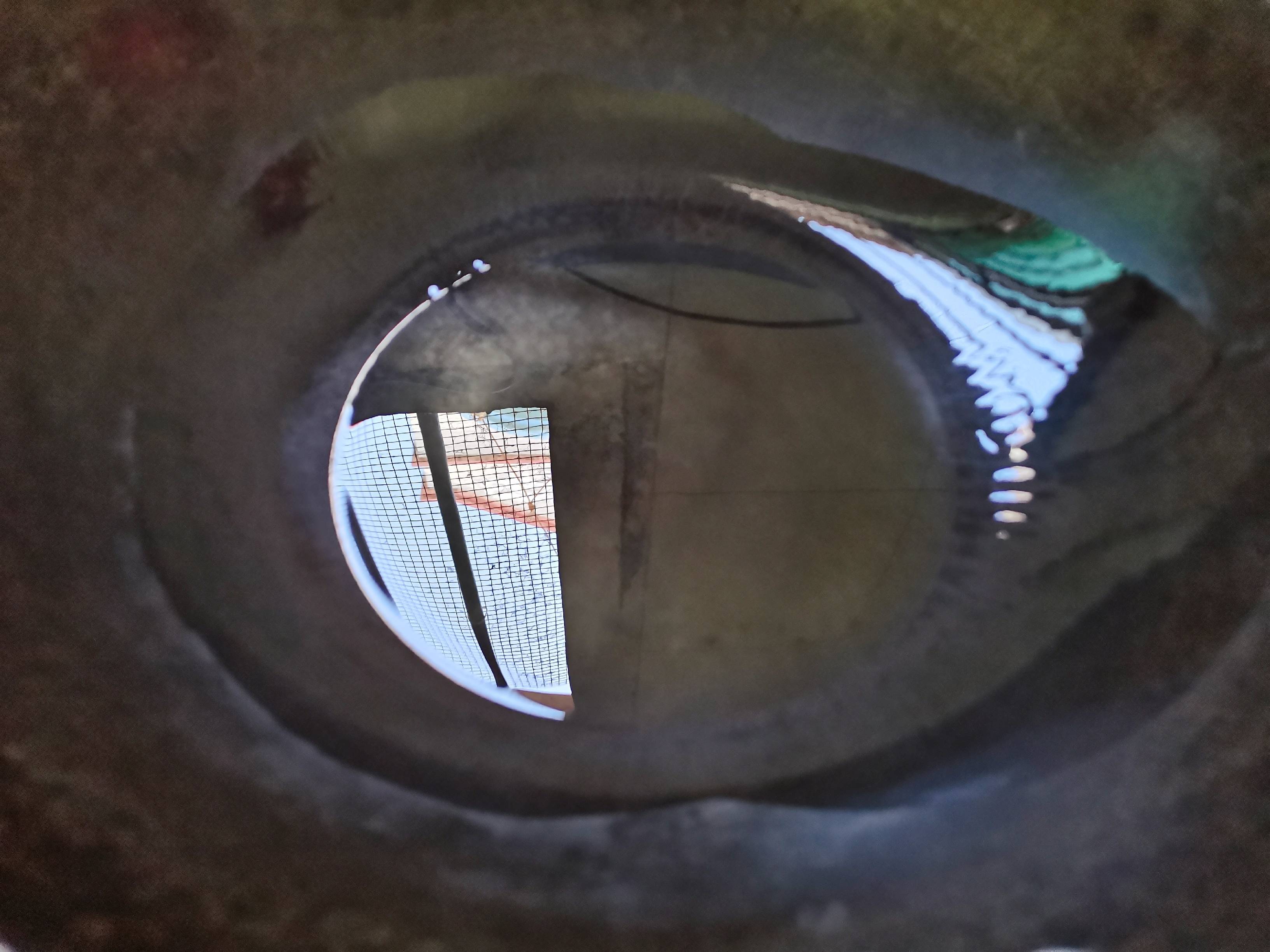 洋蔥炒蛋的做法-家常味炒菜譜