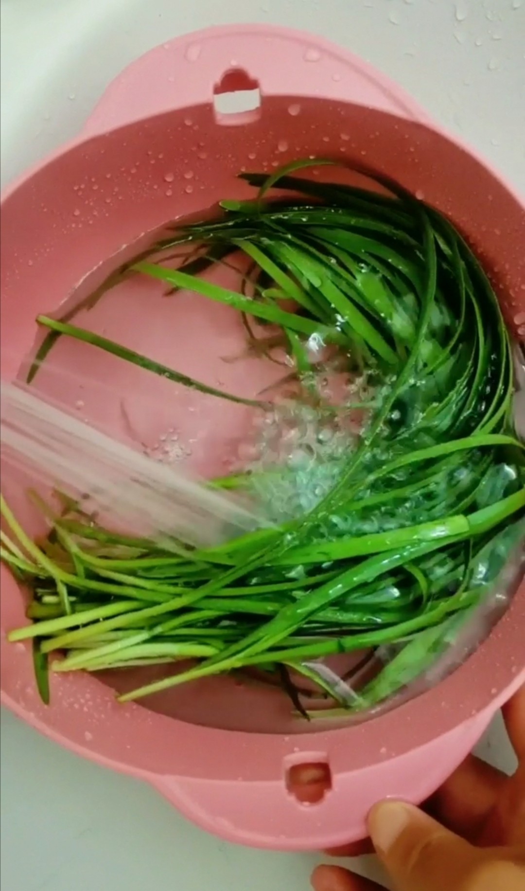 韭菜炒土豆絲的做法-咸鮮味炒菜譜