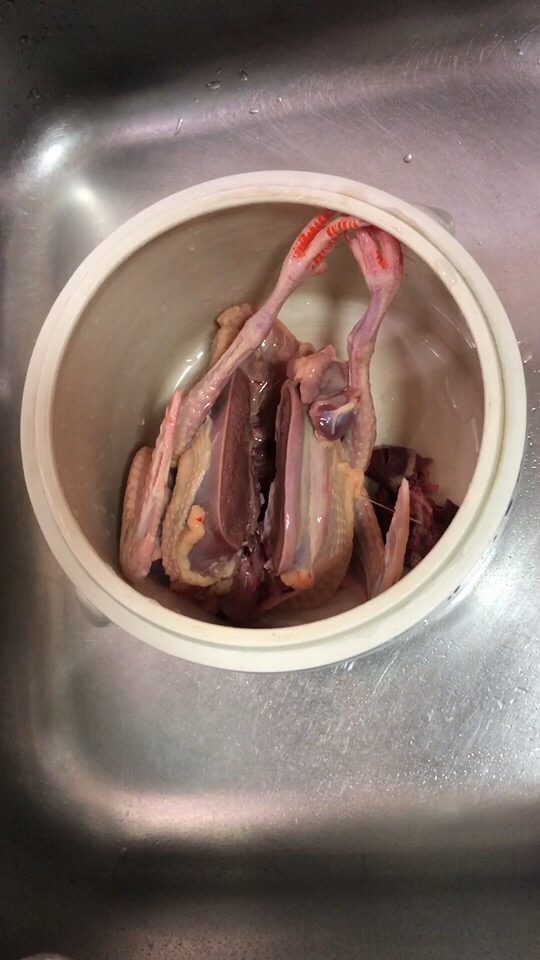 鮮甜美味的鴿子湯，這樣做滋補又養顏，冬天必備養生飲品！的做法-家常味燉菜譜