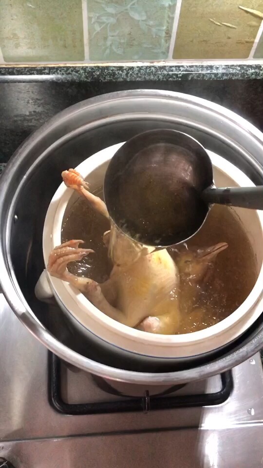 鮮甜美味的鴿子湯，這樣做滋補又養顏，冬天必備養生飲品！的做法-家常味燉菜譜