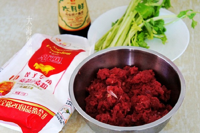 牛肉芹菜餡蒸餃的做法-咸鮮味蒸菜譜-易網(wǎng)<a href=http://www.gyfww.com/ target=_blank class=infotextkey>健康養(yǎng)生</a>網(wǎng) 牛肉芹菜餡蒸餃的做法-咸鮮味蒸菜譜