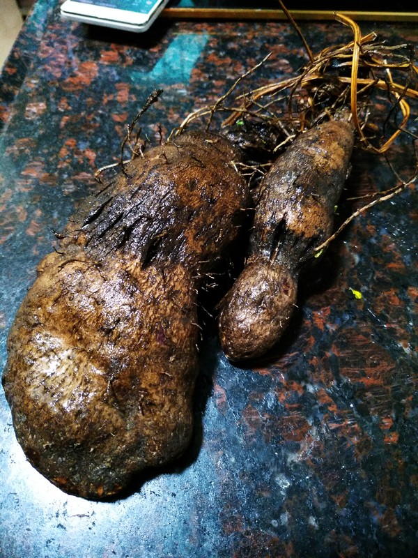 家鄉(xiāng)的美食~~臘肉大暑煲的做法-家常味煲菜譜