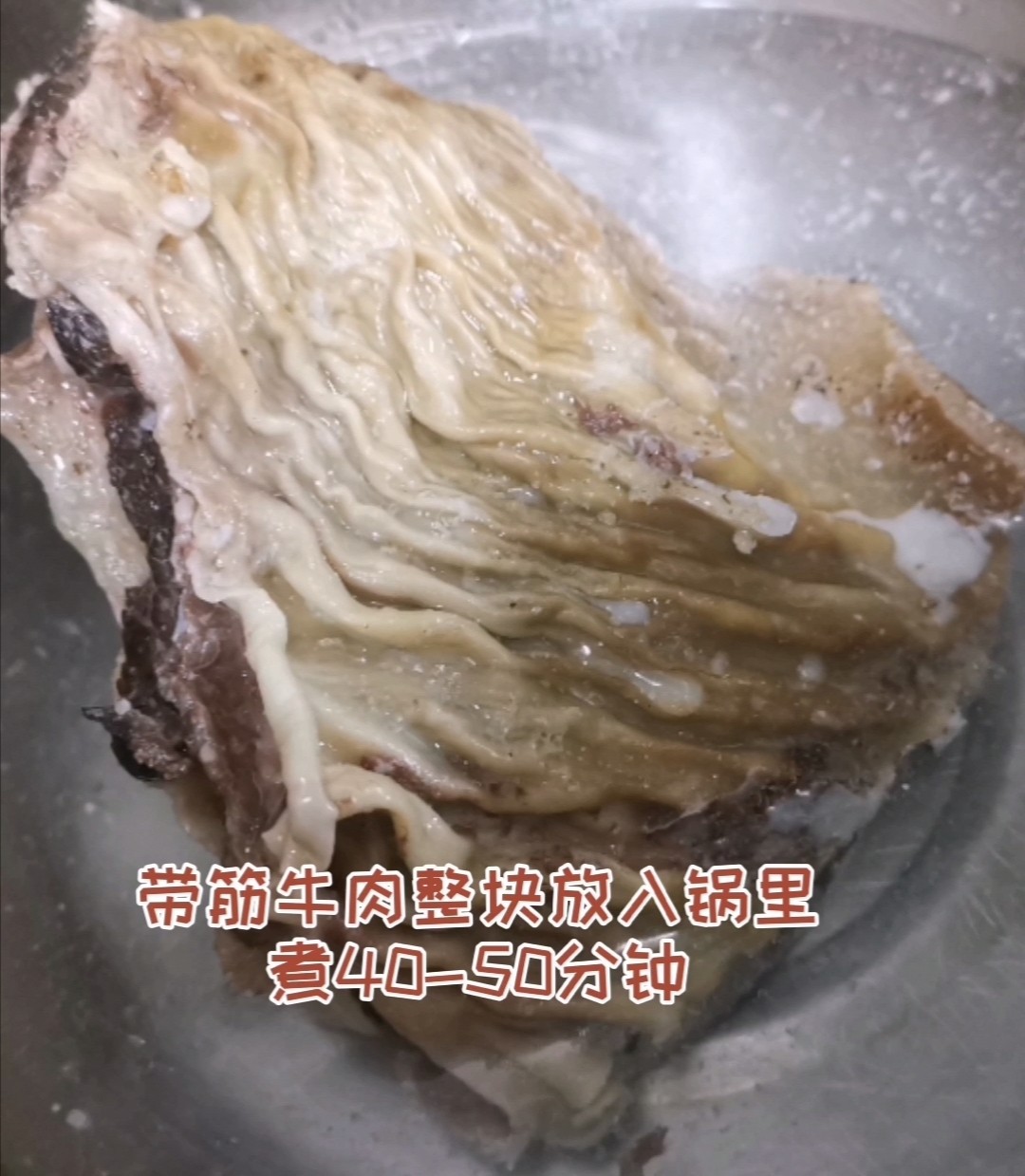 牛肉粉條的做法-家常味煮菜譜