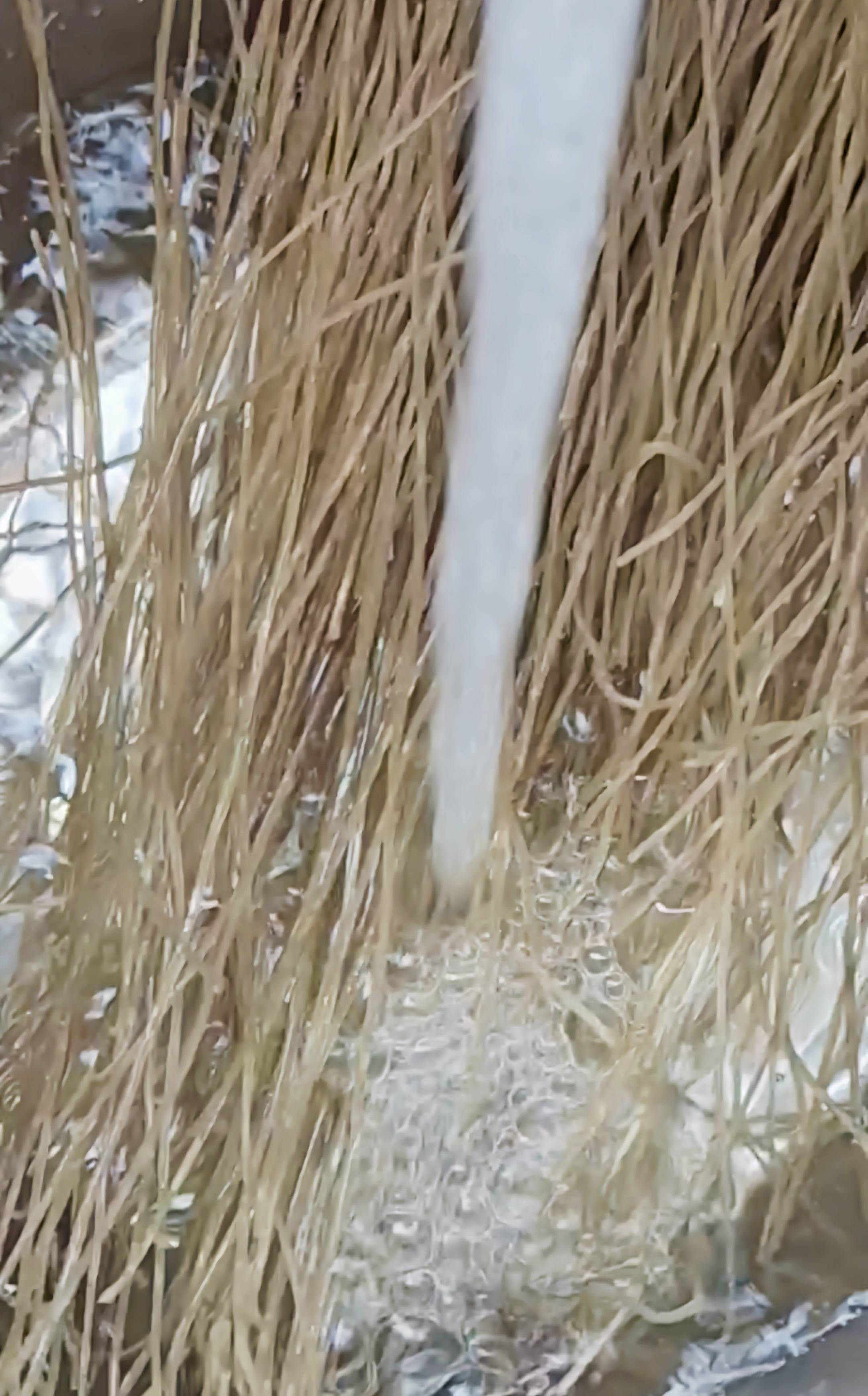 最家常的冬季暖鍋，百吃不厭~白菜粉條牛肉鍋的做法-咸鮮味煮菜譜