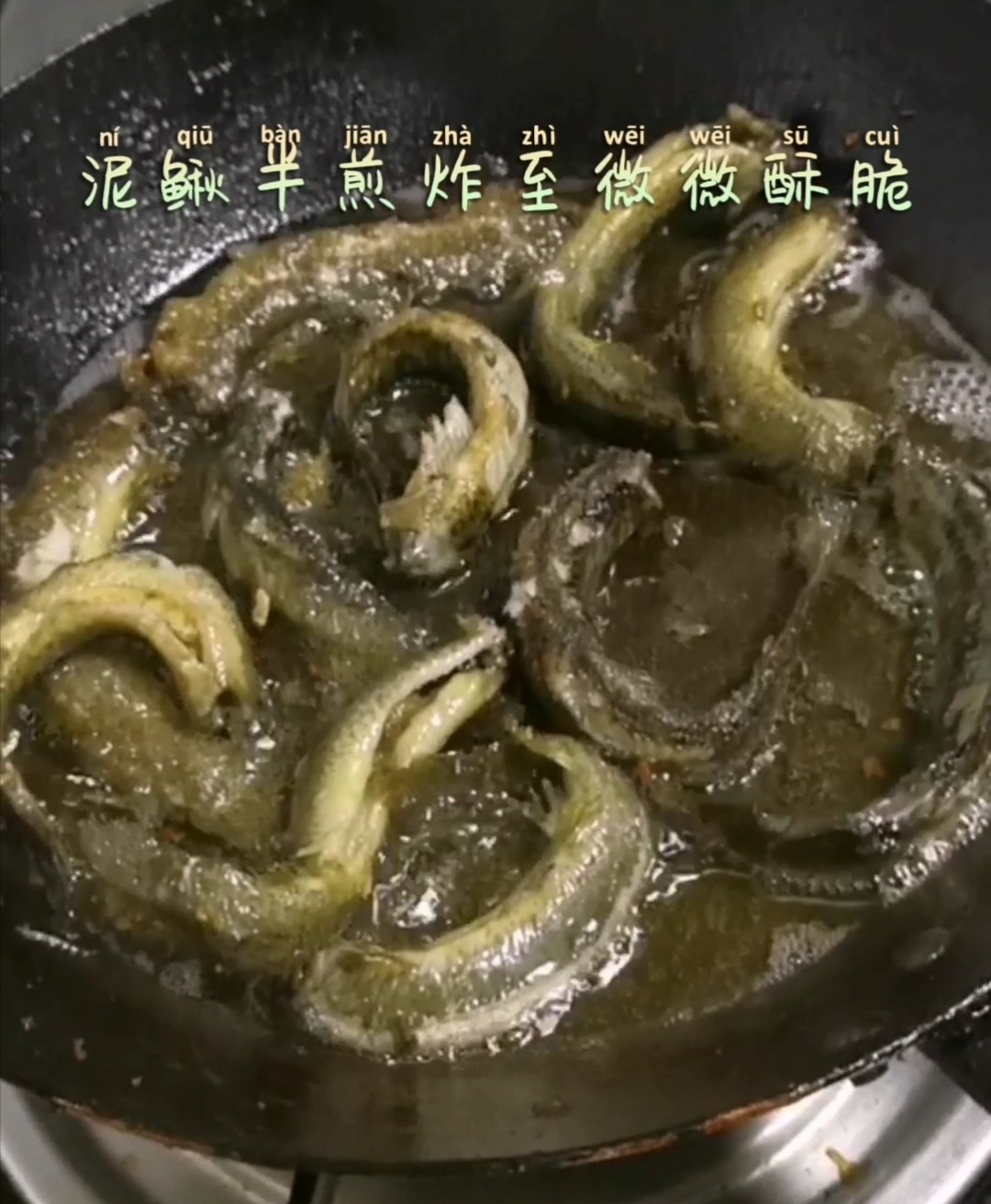 豆腐燜泥鰍的做法-家常味燜菜譜