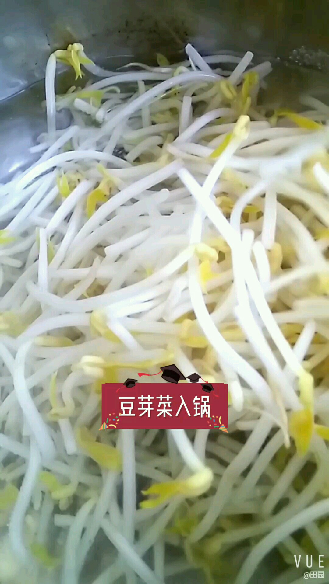 健康拌菜很鮮美的做法-咸鮮味拌菜譜