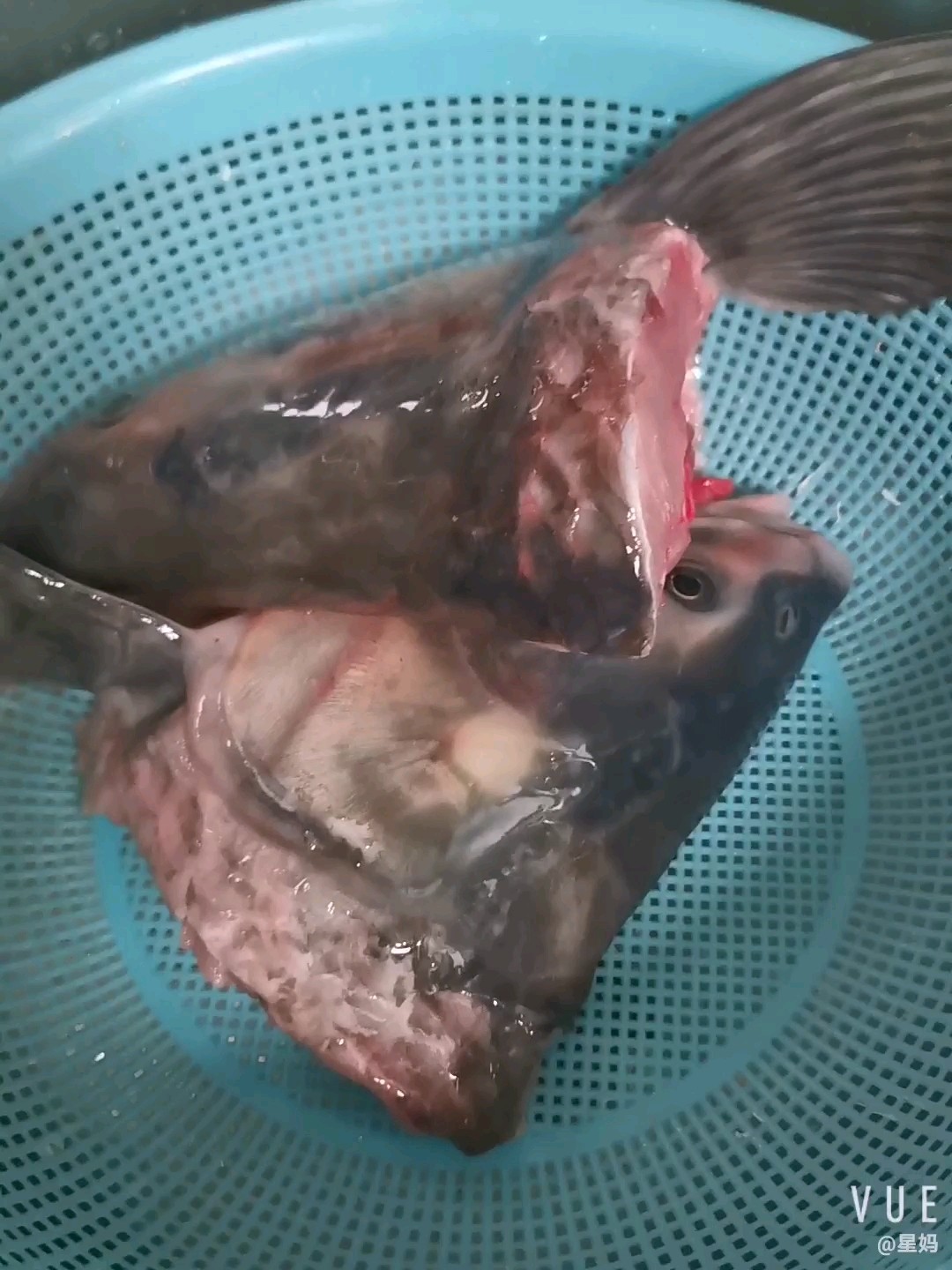 粉條燉青魚頭的做法-家常味燒菜譜