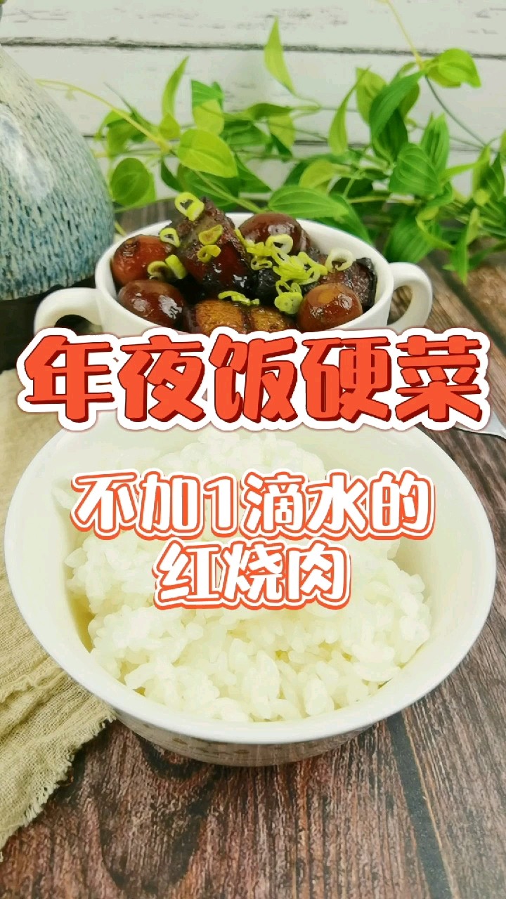 年夜飯“硬菜”-不加1滴水的紅燒肉，入口咂舌仰嘆天的做法-家常味燉菜譜
