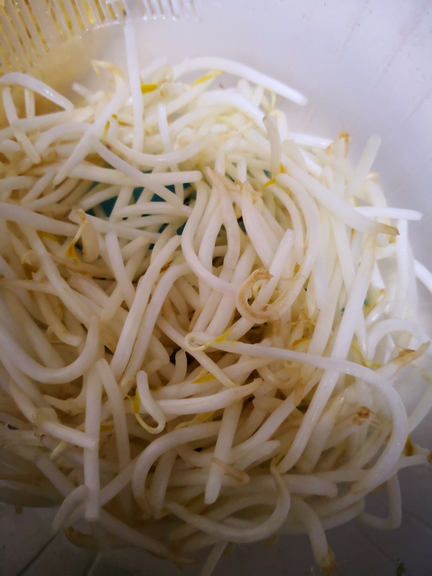 臘肉炒叉子的做法-家常味炒菜譜