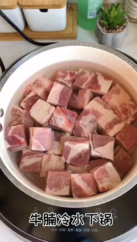 秘制蒜蓉牛腩的做法-蒜香味燉菜譜