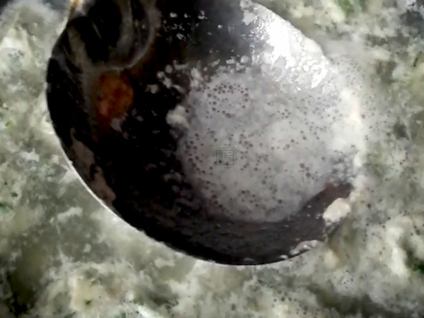 自制兩種火鍋肉丸，真材實(shí)料看得見！的做法-咸鮮味煮菜譜