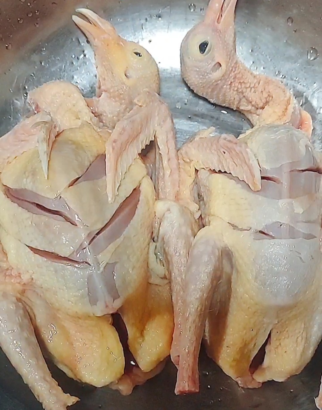 烤乳鴿的做法-家常味烤菜譜