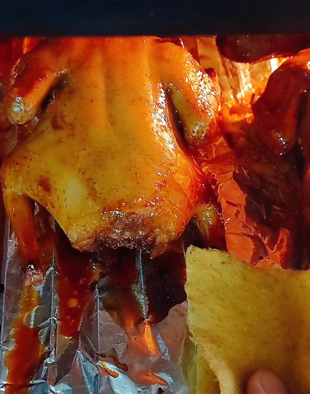 烤乳鴿的做法-家常味烤菜譜