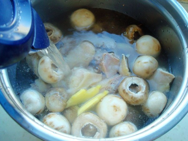 口菇燉土雞的做法-家常味燉菜譜