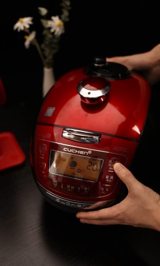 紅燒雞塊的做法-咸鮮味燉菜譜