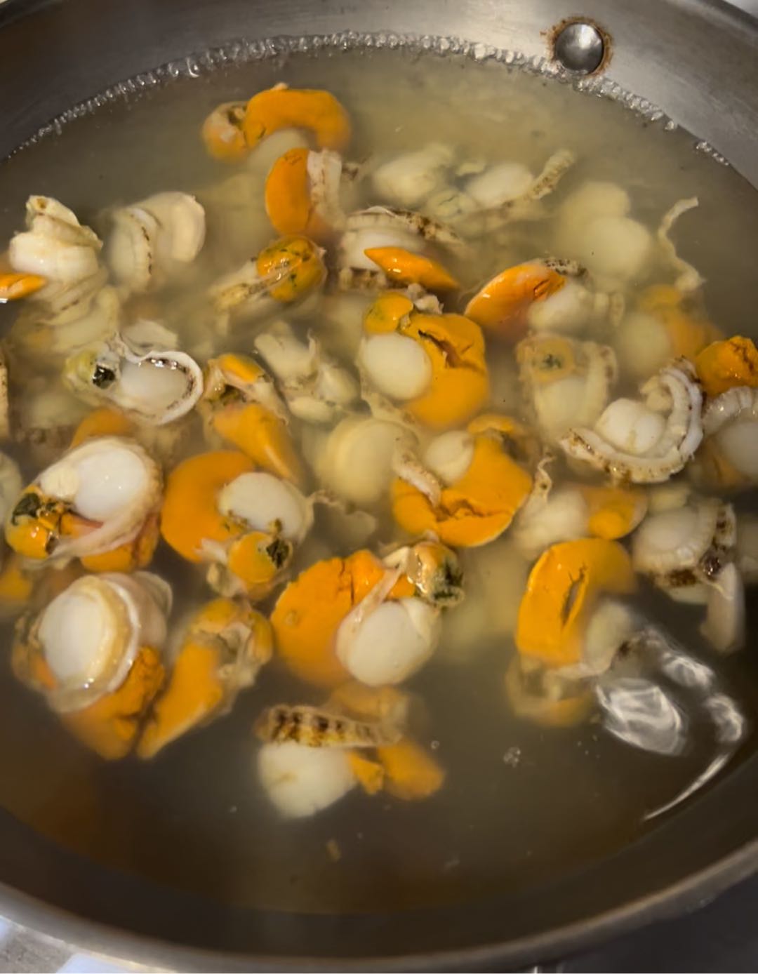 麻辣撈汁扇貝—低辣版的做法-麻辣味拌菜譜