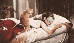  變美這幾招：“睡個(gè)美容覺(jué)”的秘密你知多少 