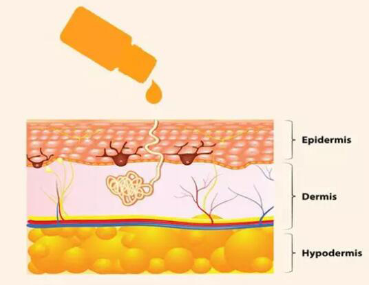  小顏還是主流!"臉大如盤"女生看這邊 