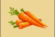 女性經常吃什么可以抗衰老呢？