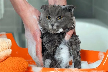 七個護膚小常識，重新定義你和護膚的親密關系