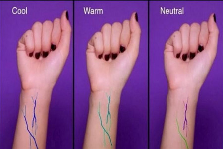 測驗肌膚冷黃和暖黃的三種方法-易網健康<a href=http://www.gyfww.com/jkys/ target=_blank class=infotextkey>養生</a>網 測驗肌膚冷黃和暖黃的三種方法