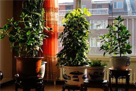 精心做好護膚護理工作，五大步驟讓你擁有美顏效果皮膚