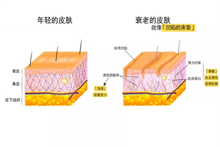抗衰老最好的方法，抗衰老用哪個護膚品好？