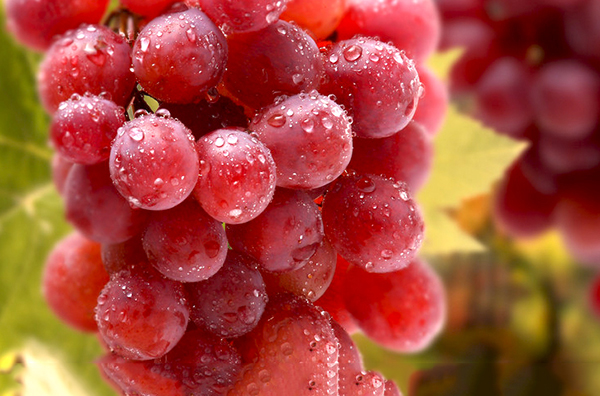 提子的功效與作用，美容護膚！