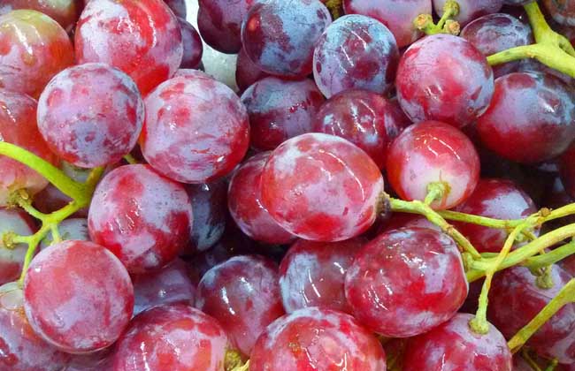 提子的功效與作用，美容護膚！