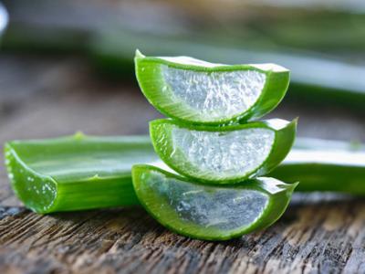 鮮蘆薈能直接用來擦臉嗎？如何用鮮蘆薈護(hù)膚？