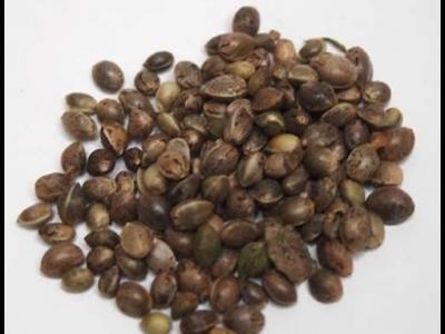 火麻仁怎么吃？小編分享三種搭配方法