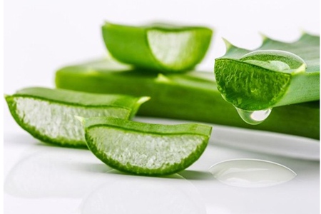 蘆薈對皮膚的四大功效與作用，蘆薈水女性用出年輕肌膚