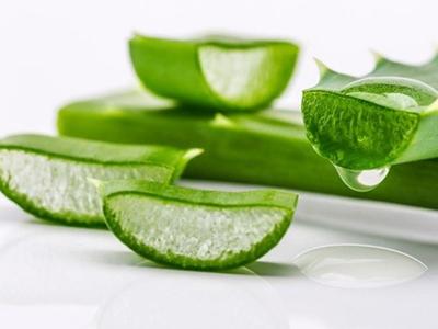 蘆薈對皮膚的四大功效與作用，蘆薈水女性用出年輕肌膚