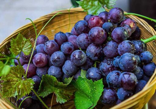 常吃這3款紫色食物 養顏抗衰老