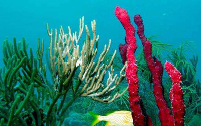 防曬噴霧可以帶上火車嗎?防曬噴霧的使用方法是什么?