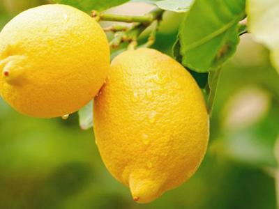 多吃什么水果能幫助滋養皮膚？這6種美容養顏效果好