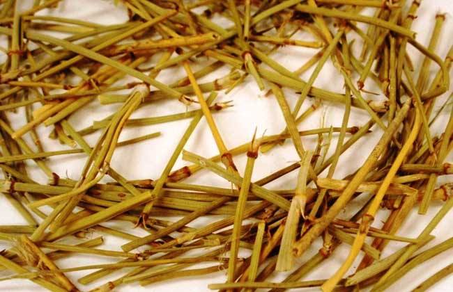 麻黃的功效與作用，利水消腫