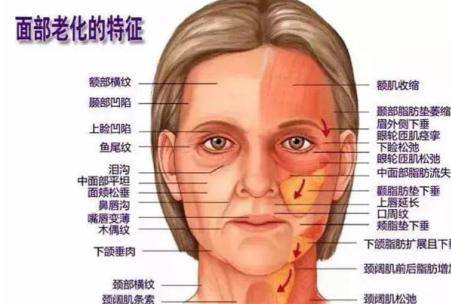 女性皮膚衰老的原因 抗衰老最好的方法是什么